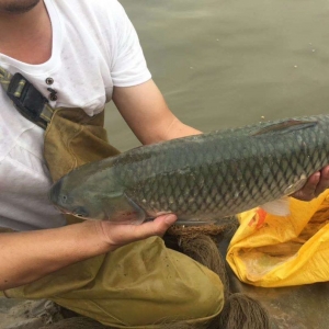 ������Ϣ����W(w��ng)��Y(ji��)�������~(y��)�r(ji��)���������F(xi��n)������