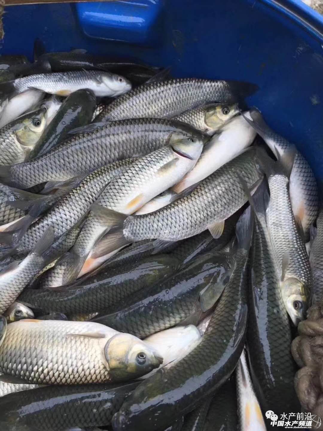 ������Ϣ����W(w��ng)��Y�������~�r���������F(xi��n)������