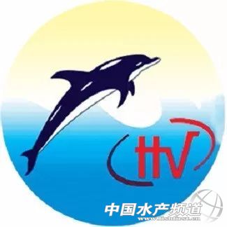 Խ�ϰ�ɳ�~��ITOP10��αP�c��������Щ��I�ϰ�