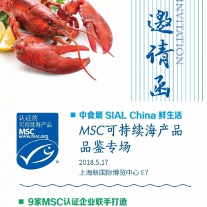 �ف�(l��i)��ȫ��MSC�ɳ��m(x��)Ұ�����ƺ��r�F(xi��n)��(ch��ng)����Ʒ�b��