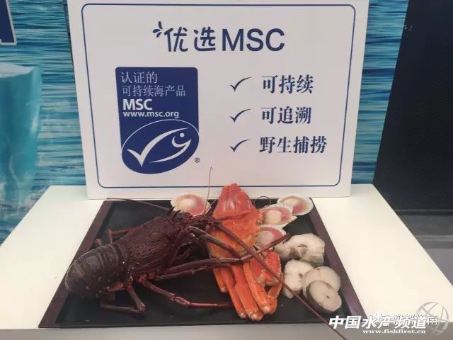 MSC�ɳ��m���r�м�����¡�������Ϻ���ʳչ��16-18�գ�ȫ��MSC�ɳ��mҰ�����ƺ��r�F������Ʒ�b��