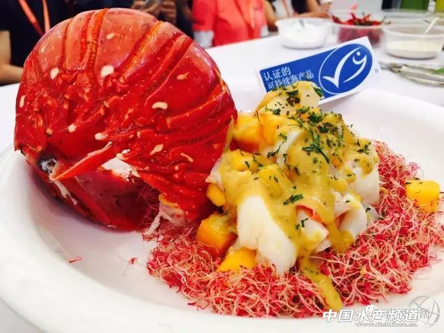 MSC�ɳ��m���r�м�����¡�������Ϻ���ʳչ��16-18�գ�ȫ��MSC�ɳ��mҰ�����ƺ��r�F������Ʒ�b��