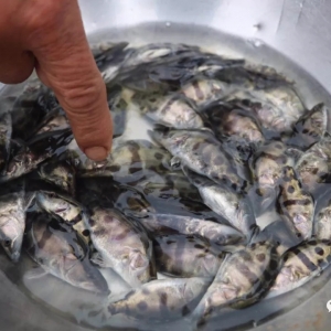 ���~���Л_���~�r���Z�~�r���ٴ��µ�������2018��5��18�չ��~�r������