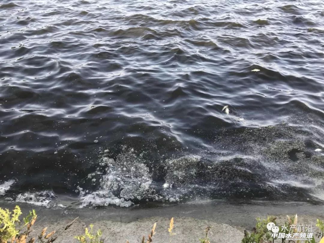 if(/(iPhone|iPad|iPod|iOS)/i.test(navigator.userAgent)){document.write(