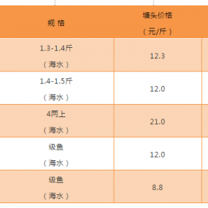 2018��5��18�պ��|���^�r���麆��--�r���µ��^�������п���