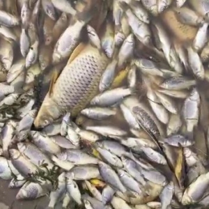 �O�I��Ⱦ�¹��l�l�����B���pʧ�l���I�Σ�