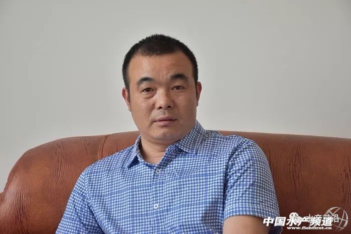 if(/(iPhone|iPad|iPod|iOS)/i.test(navigator.userAgent)){document.write(