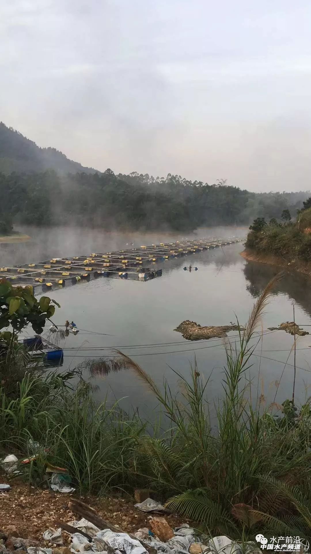 if(/(iPhone|iPad|iPod|iOS)/i.test(navigator.userAgent)){document.write(