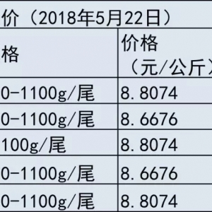 Խ�ϰ�ɳ�~���Ѓr�񕺟o�����E�󡪡�2018��5��23�հ�ɳ�~���^�r