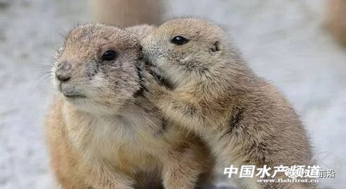 �@�꣡�������L(f��ng)��͵�u�~��������(z��i)������V�|����7��(g��)�_(t��i)�L(f��ng)�u��������8��(g��)���V��6��(g��)������8��(g��)���㽭5��(g��)...