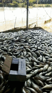 �K��һ�X�с�pʧ��ʮ���f����ɽһ�B(y��ng)����(sh��)�f������|��������