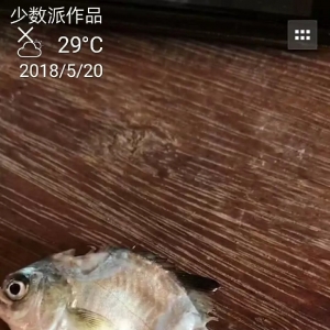 ������٣����K�~�r��ȫ���ϝq�����16Ԫ/���2018��5��27�ս��K�~�r������