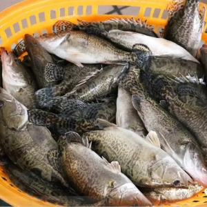 ���^�˃r�񺮶����Z�~�����ů���V�|�Z�~�q1Ԫ/�����2018��5��28�չ��~�r������