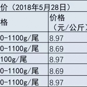 Խ�ϰ�ɳ�~�r��С���ϝq���Ї��Ј����g�޴�