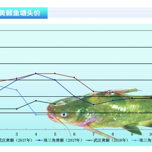 �S��~��������� ���Ƴɱ�������ˮ�aǰ�ء�2018��6�¿��Ј�څ��