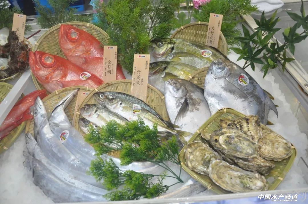 ���ݝO����(hu��)����ʢ���_(k��i)Ļ������(gu��)չ�̽M�F(tu��n)��չ���_(k��i)�����rʳ�Ļ����M(f��i)�r(sh��)��