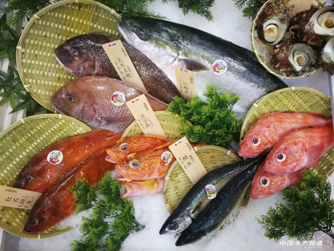 ���ݝO����(hu��)����ʢ���_(k��i)Ļ������(gu��)չ�̽M�F(tu��n)��չ���_(k��i)�����rʳ�Ļ����M(f��i)�r(sh��)��