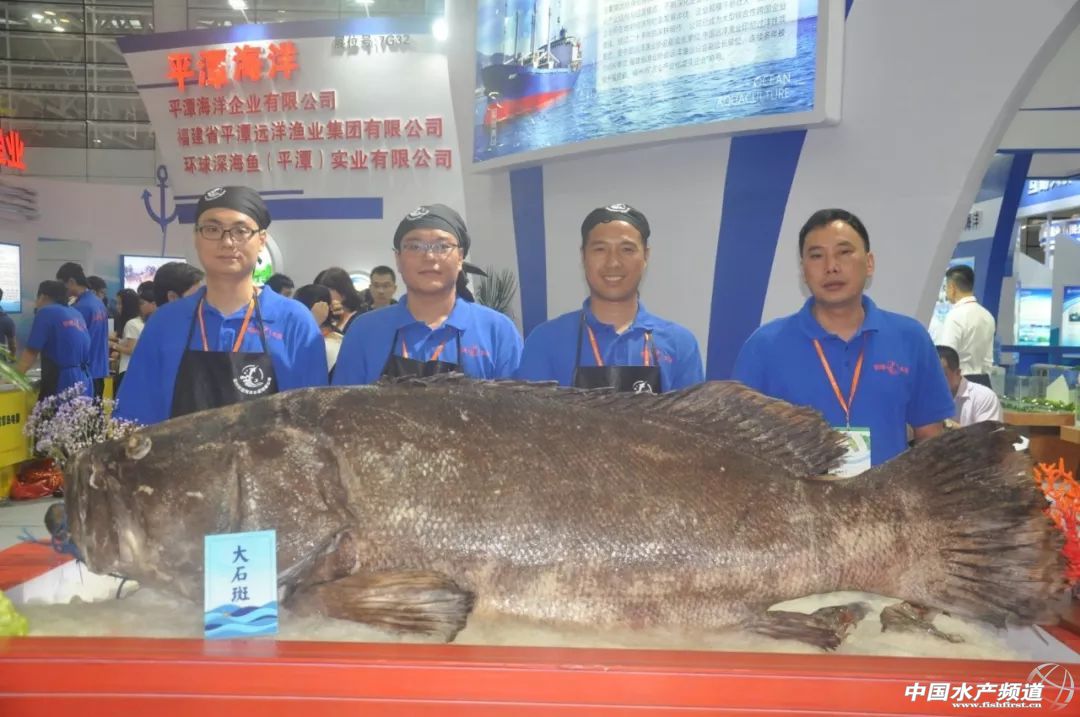 ���ݝO����(hu��)����ʢ���_(k��i)Ļ������(gu��)չ�̽M�F(tu��n)��չ���_(k��i)�����rʳ�Ļ����M(f��i)�r(sh��)��