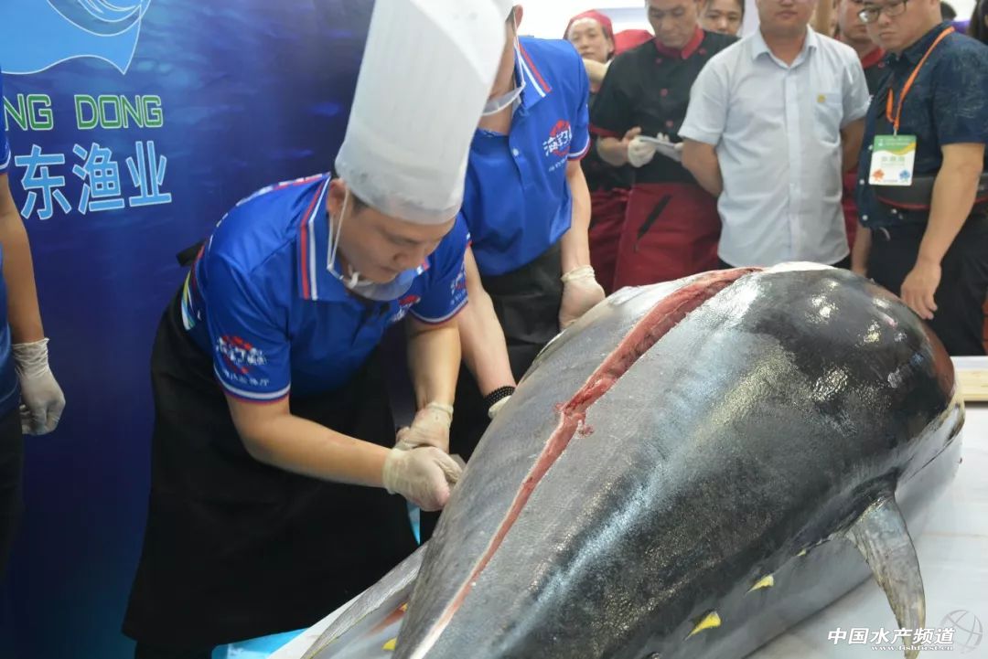 ���ݝO����(hu��)����ʢ���_(k��i)Ļ������(gu��)չ�̽M�F(tu��n)��չ���_(k��i)�����rʳ�Ļ����M(f��i)�r(sh��)��