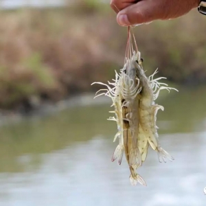 �@�N�r�ۃr��60Ԫһ�ǰ���ǳ��V�