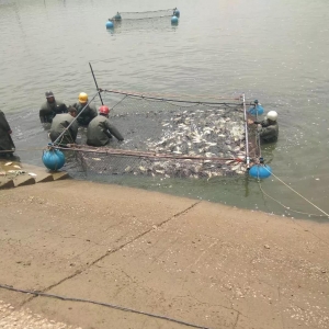 �a�~���Σ��r���ϝq���@������ϝq0.6Ԫ��