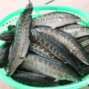 �������~�r��׃�������N�����١���2018��6��4�����~�r������