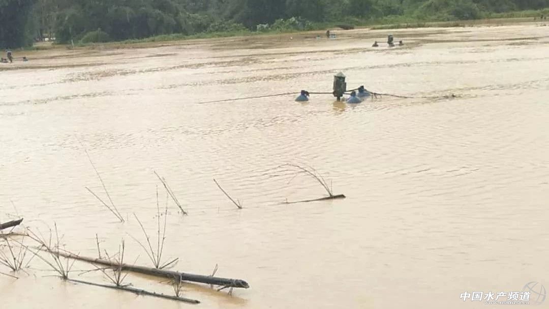 �o����������һƬ���󣡔��f���~���ܞģ����_�L�����hδ�Y����