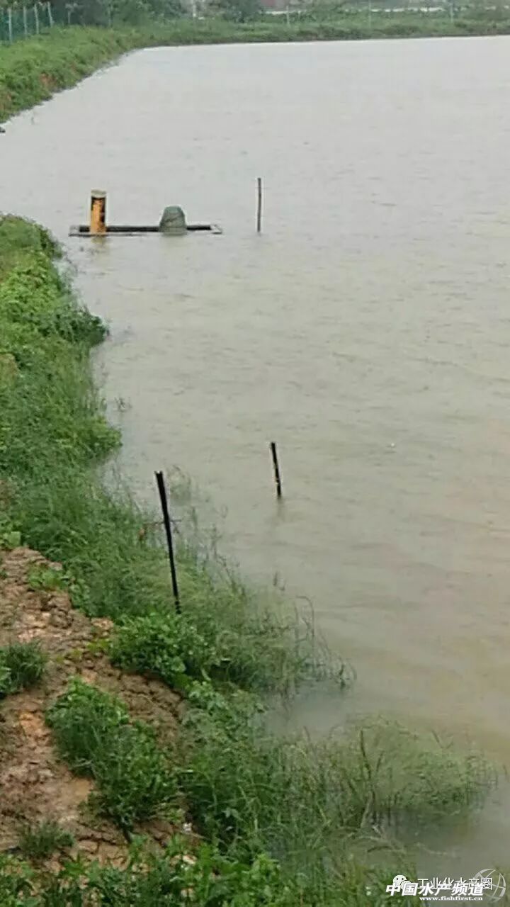 �o����������һƬ���󣡔��f���~���ܞģ����_�L�����hδ�Y����