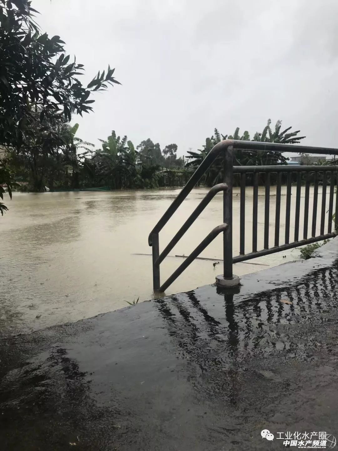 �o����������һƬ���󣡔��f���~���ܞģ����_�L�����hδ�Y����