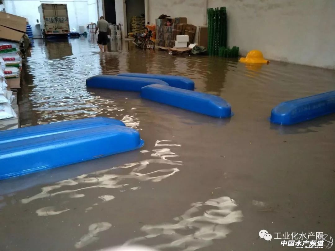 �o����������һƬ���󣡔��f���~���ܞģ����_�L�����hδ�Y����