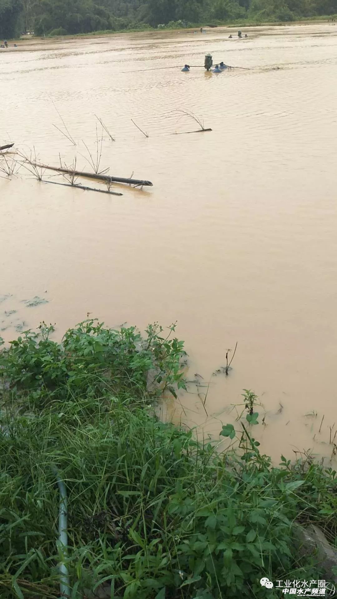 �o����������һƬ���󣡔��f���~���ܞģ����_�L�����hδ�Y����