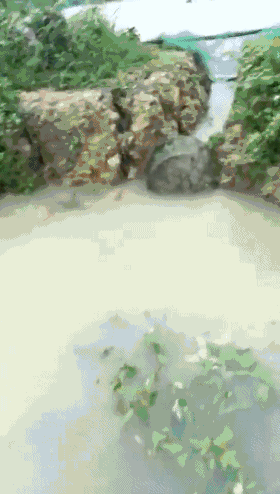 �o����������һƬ���󣡔��f���~���ܞģ����_�L�����hδ�Y����