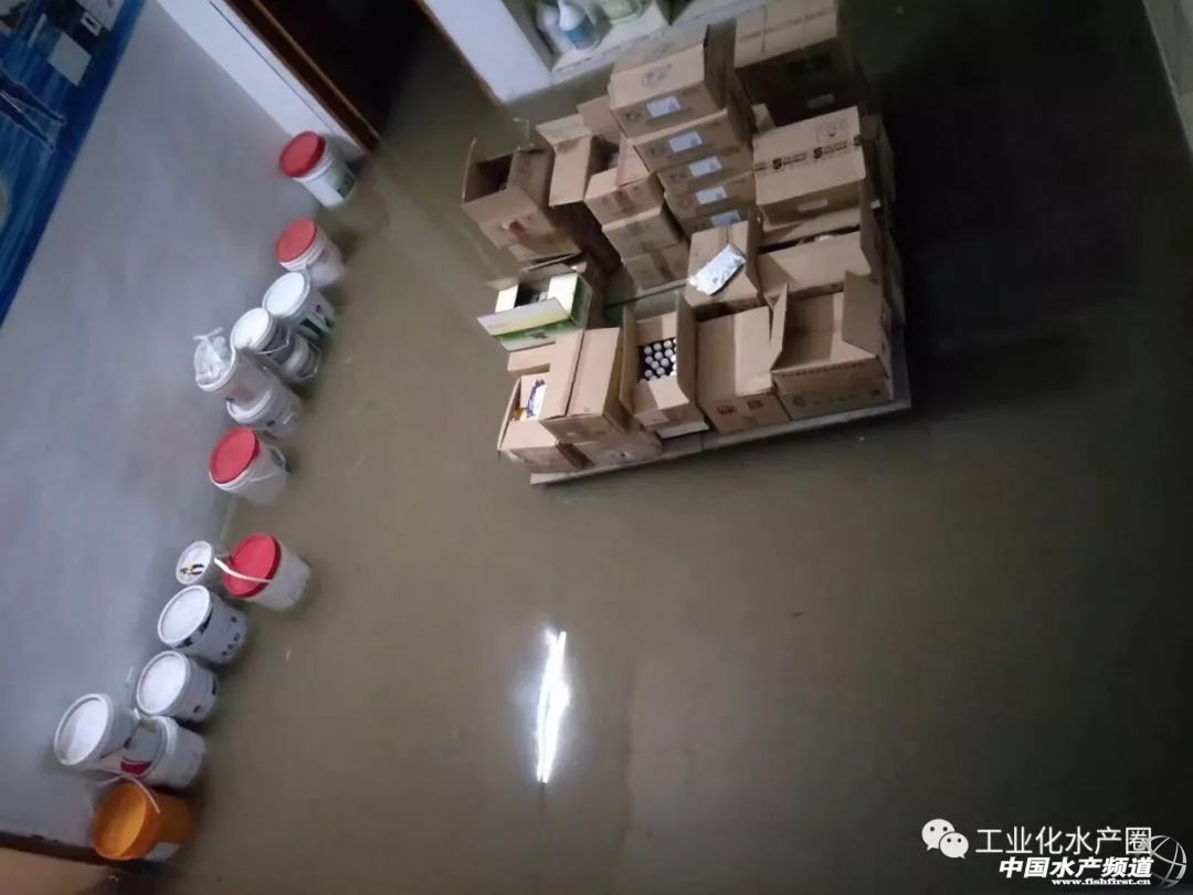 �o����������һƬ���󣡔��f���~���ܞģ����_�L�����hδ�Y����