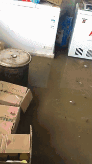 �o����������һƬ���󣡔��f���~���ܞģ����_�L�����hδ�Y����