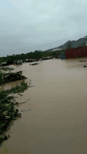 �o����������һƬ���󣡔��f���~���ܞģ����_�L�����hδ�Y����