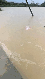 �o����������һƬ���󣡔��f���~���ܞģ����_�L�����hδ�Y����