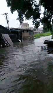 �o����������һƬ���󣡔��f���~���ܞģ����_�L�����hδ�Y����