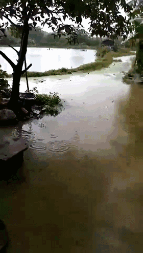 2018��4̖�_�L��(z��i)��������������һƬ���󣡔�(sh��)�f���~���ܞ�(z��i)��