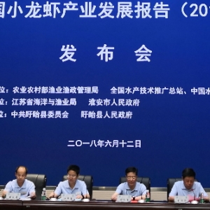 ȫ��ˮ�a���g�ƏV��վ�l�����Ї�С���r�a�I�lչ���(2018)��