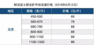 �����R������ʿ�D���r����δ�������С�����{څ��