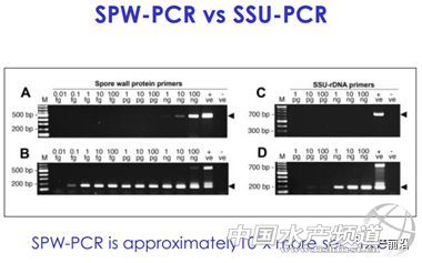 ȫ��֪���r������T.W.Flegel��EHP�ױ��`�\��Ҳ�����£���Ҫ�e�����r��