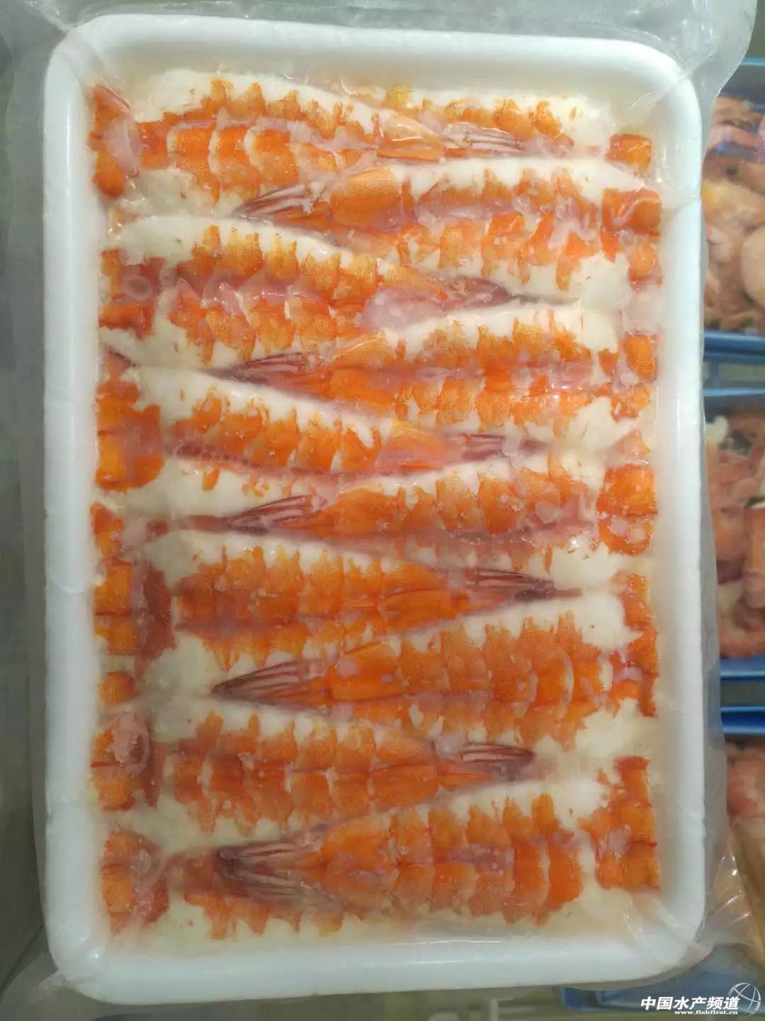 տ��ˮ��������ʢ���_Ļ��ȫ��ˮ�a�I���R�ۡ��r������ǧ�f��Ҫ�e�^�@Щ���r�Ј��L�����