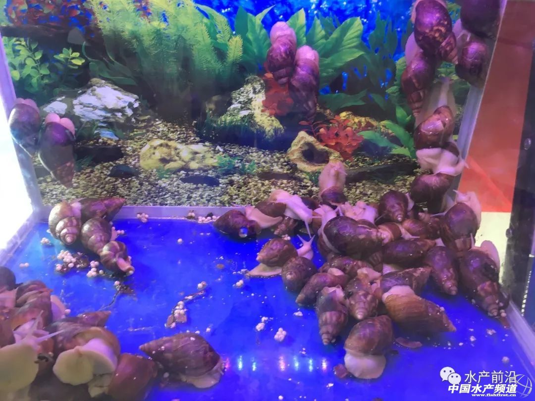 ���d��������S...�װټ���I�®aƷ���ڿƼ������ˣ�ˮ���������