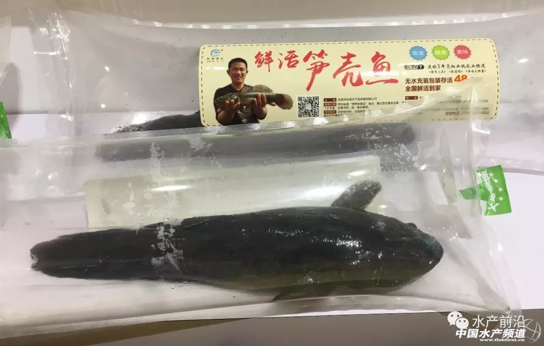 ���d��������S...�װټ���I�®aƷ���ڿƼ������ˣ�ˮ���������