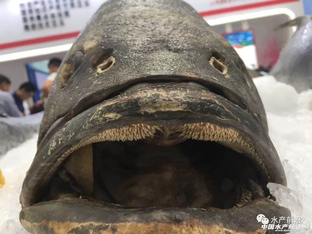 ���d��������S...�װټ���I�®aƷ���ڿƼ������ˣ�ˮ���������