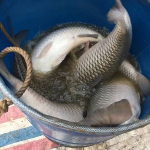 ���ɱ��q300��Ԫ/�����~�r�s߀���µ�����6��19�ղ��~�r������