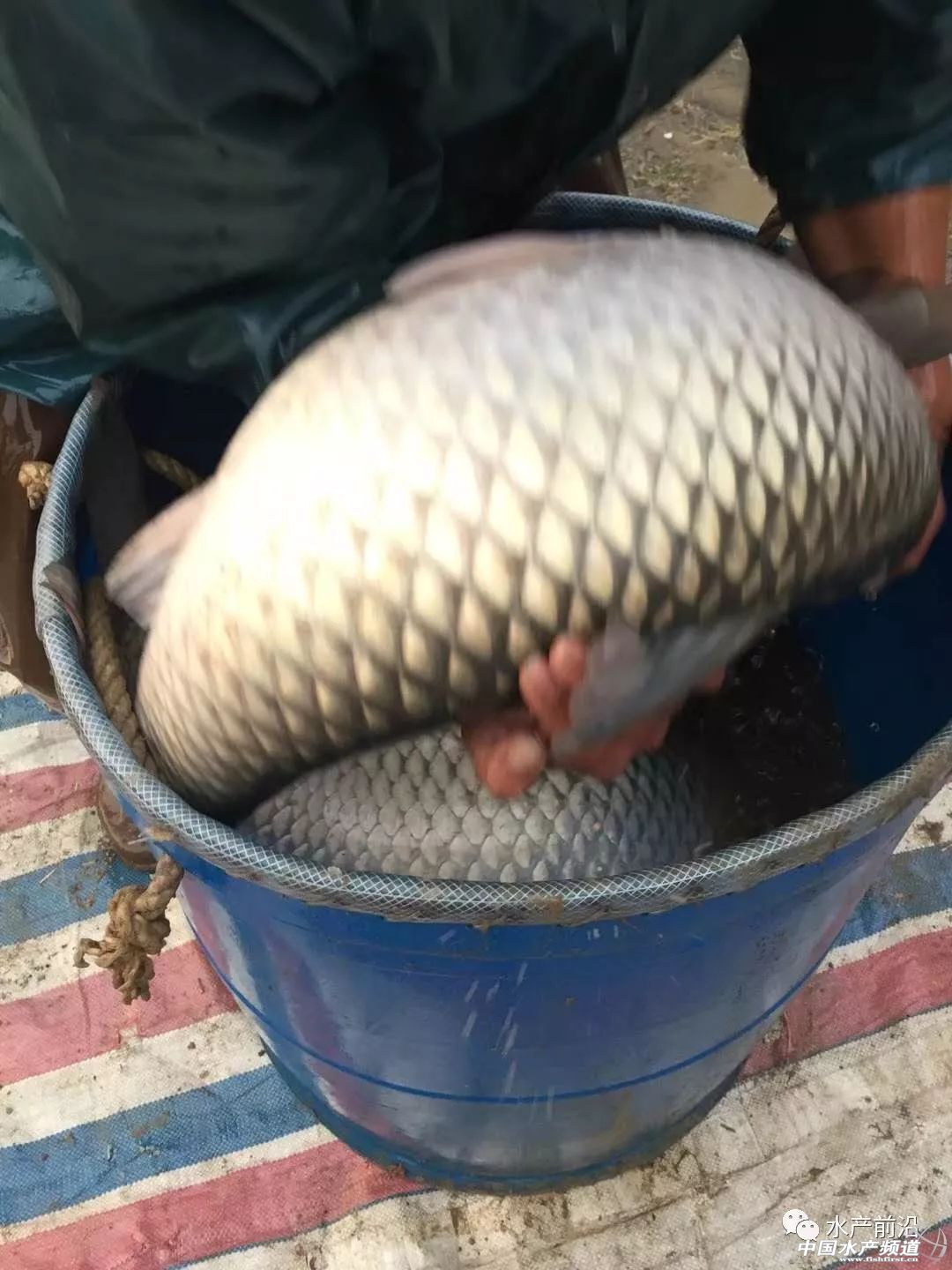 �������ɱ��q300��Ԫ/�����~�r�s߀���µ���������~�����B(y��ng)��