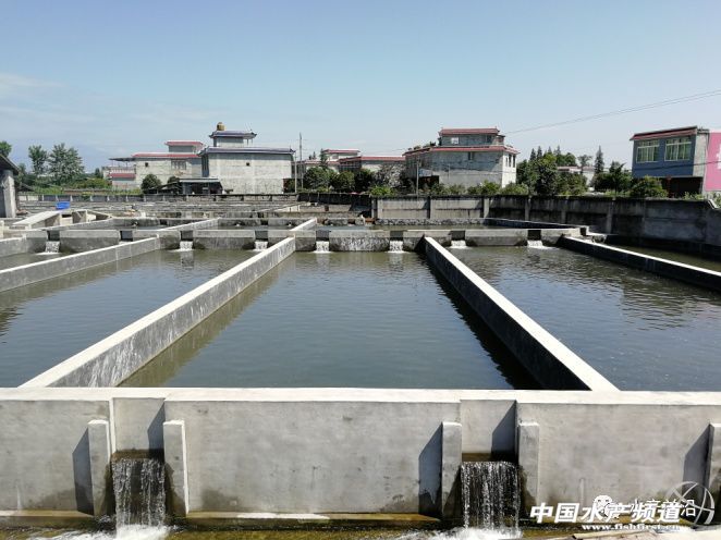 ����1���υs�Ȅe�˶��250���~��������Ч�����ˣ�