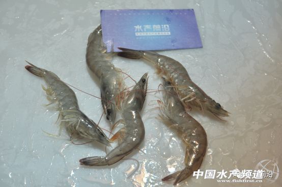 ���ı��`������������l��������Ξ鰲ȫ�ɿ����r�磿��Ҫһ�����}�͹ַN�r