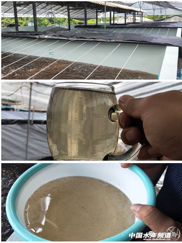 ���ܶȾ��B�ɹ����ձ�8-9�ɣ�Ҏ���_15�^/��@Щ�B�rģʽ��ֵ�ÿ���